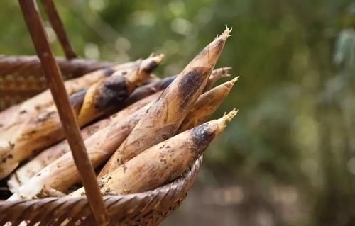 春季三月必吃的一种菜，价格虽贵，但营养极高，遇到我必买