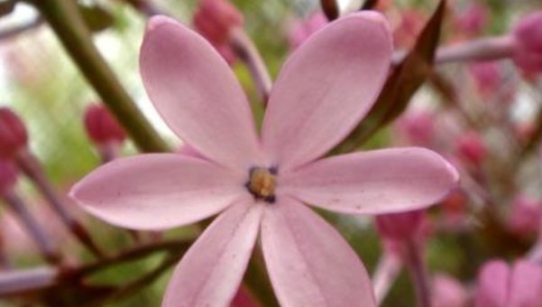 有福气|真正聪明又有福气的人,都懂得给这三种人低头,怪不得越混越好