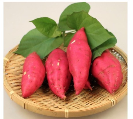 黄大娘|高血压人,能不能吃红薯长期吃红薯有什么好处说的清楚