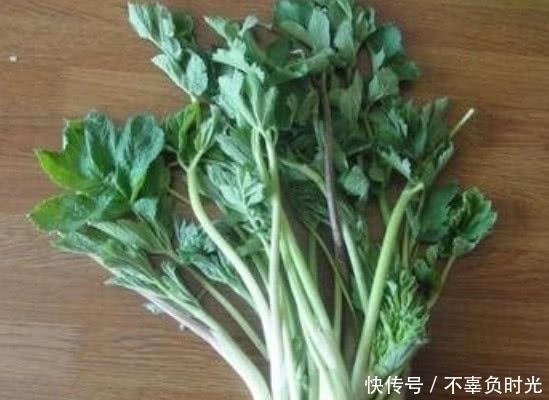 这种植物有着特殊的香气,且价值极其珍贵,是一种很不错的野菜