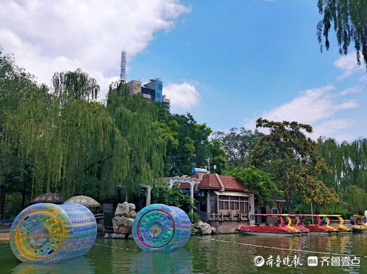 蓝天白云微风爽，荷花灼灼香满塘！济南泉城公园夏景如画|情报站| 齐鲁壹点