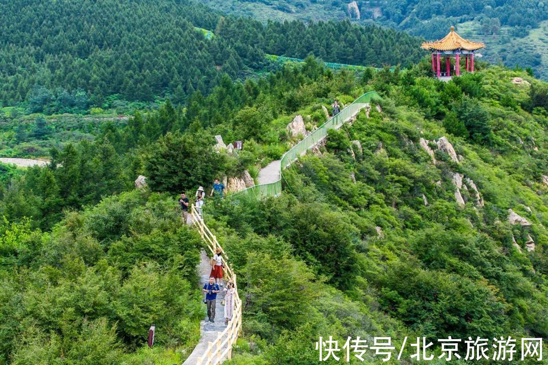 十渡|春已至，花绽放！这份房山赏花攻略请查收！