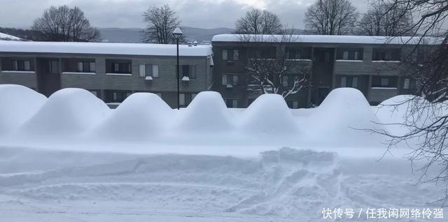 纽约州天降暴雪足足一米厚！车和房全都被埋了，只剩白茫茫！