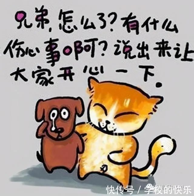 |搞笑相亲经典冷笑话，有着十年相亲经验的我一直是不相信缘分的！