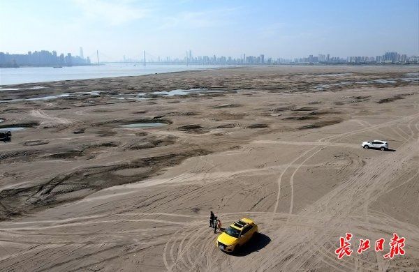 水位|长江水位退，沙洲现奇景