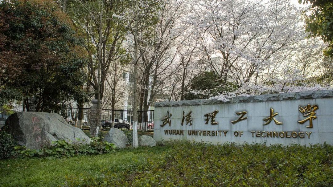 魏龙|十八而志，筑梦起航 ！经济学院举办2020级本科生成人礼