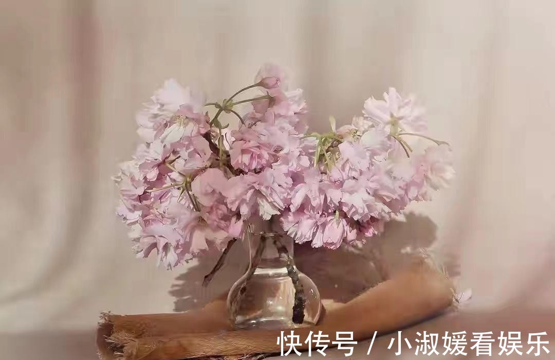 偏心|亲兄弟之间为什么会像“仇人”一样?多半因为这些原因