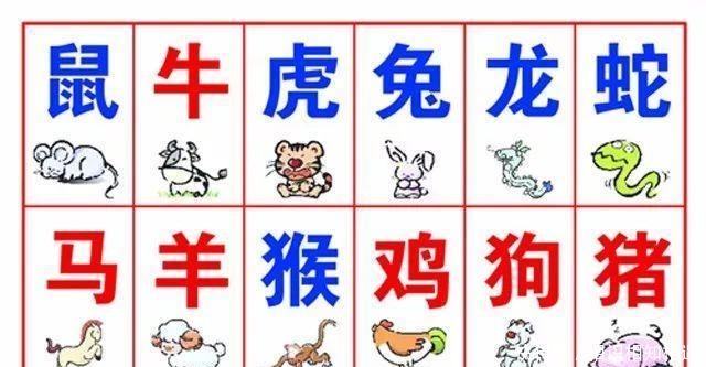 生肖相生相克最全汇总 属相间的婚配宜忌一看便知