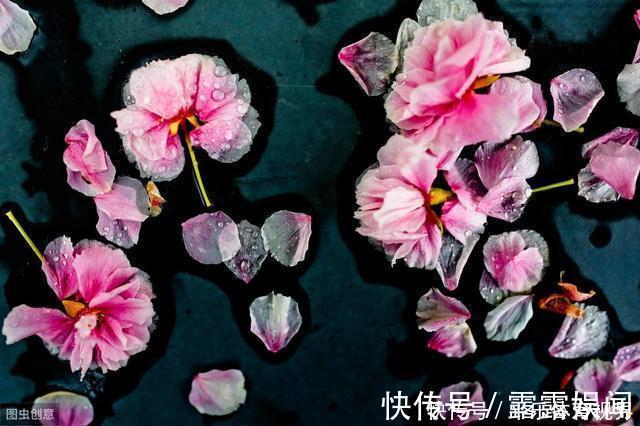 柳永|最全100句断肠诗，错过了就再也搜索不到的绝顶好文