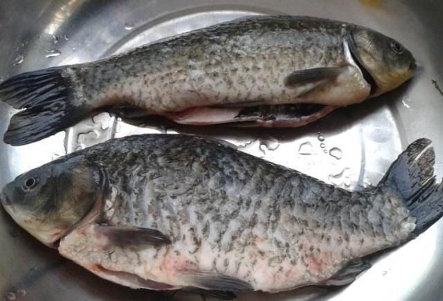  鱼肉|不管炖什么鱼，这“1步”不能少，否则鱼肉不鲜不嫩腥味重