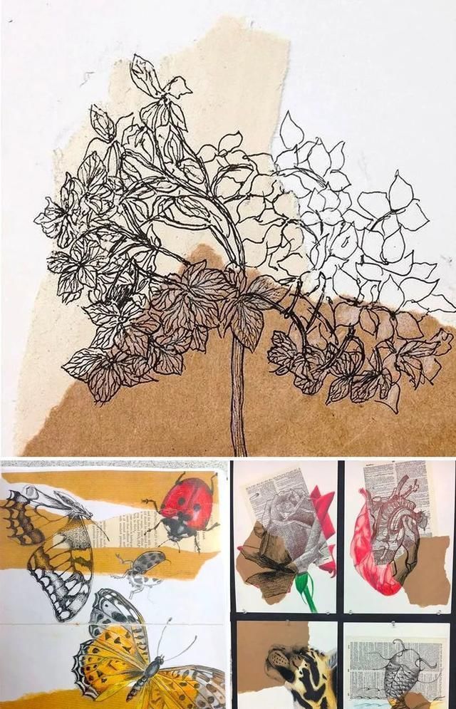  儿童画|儿童画教程一张纸上的两种表现方式--美丽的牵牛花