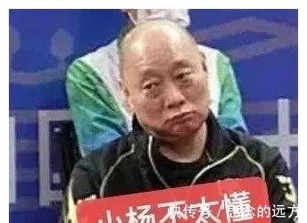 王曼昱|马琳又要指导孙颖莎,兼三项更适合王曼昱,陈梦对伊藤刘国梁为难
