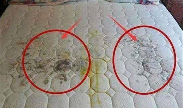 床垫睡久了螨虫成窝,教你一个土方法,螨虫灰尘一起除