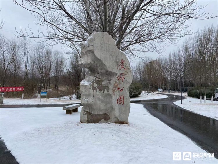 孙永莲|一场雪让潍坊美成了这样