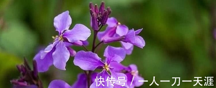 农历|小孩在农历这个月出生,聪明孝顺运势旺,定能成为人生赢家!