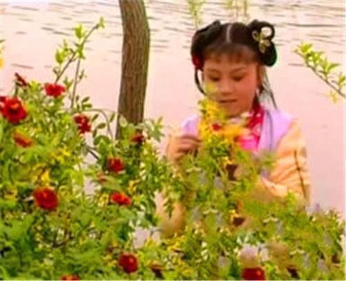  红楼梦|《红楼梦》中的斗草是什么？它有什么历史？如何玩？