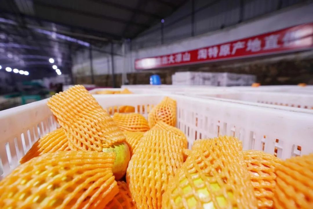 湖南卫视|淘特＂直＂入县域，靠短链打拼