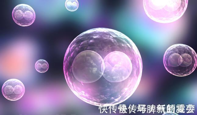 临床|癌症能不能治愈？肿瘤专家：满足这三个条件，就可以