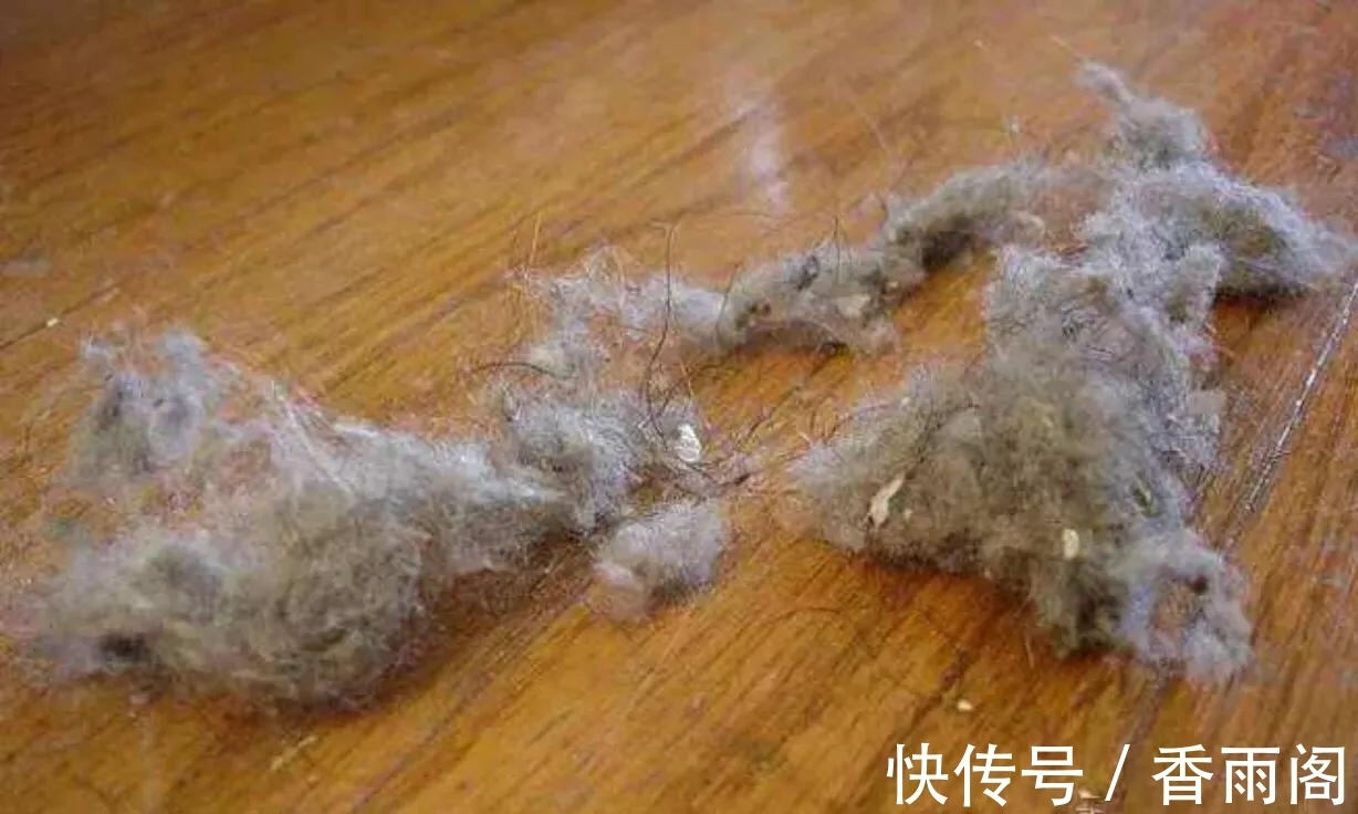 刚打扫完室内卫生,就又出现了尘絮,这些灰尘是怎么凭空出现的?