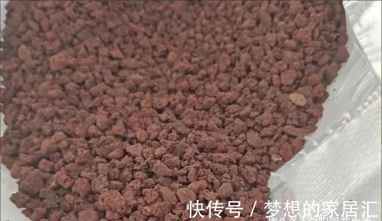 多肉|养多肉的“通用配土”,不要乱花钱了,买这2样土,养多肉足够