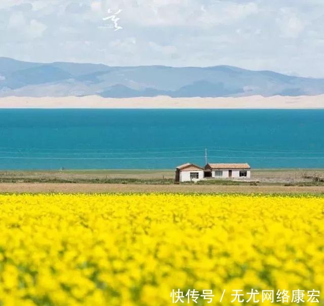 湖泊|这个地方被评为中国最美丽的湖泊, 一半是花海, 一半是美女