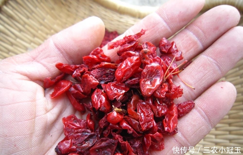 曾是古代的辣椒,如今落一地没人捡,殊不知晒干40元一斤,别浪费