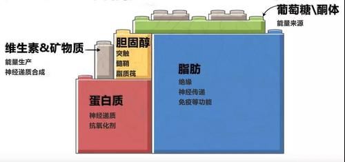 如果你想瘦 首先就是要想办法科学降低食欲