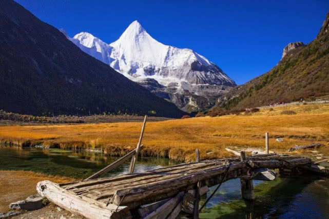 生肖|七月份桃花旺的挡都挡不住的三个生肖，甜甜的恋爱终于来到了