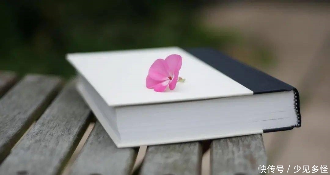 父母的爱|校会书苑|对时间的无言,对生命的目送