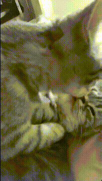 |搞笑GIF：陪女朋友去舞蹈班，我又给她续了一年的会员