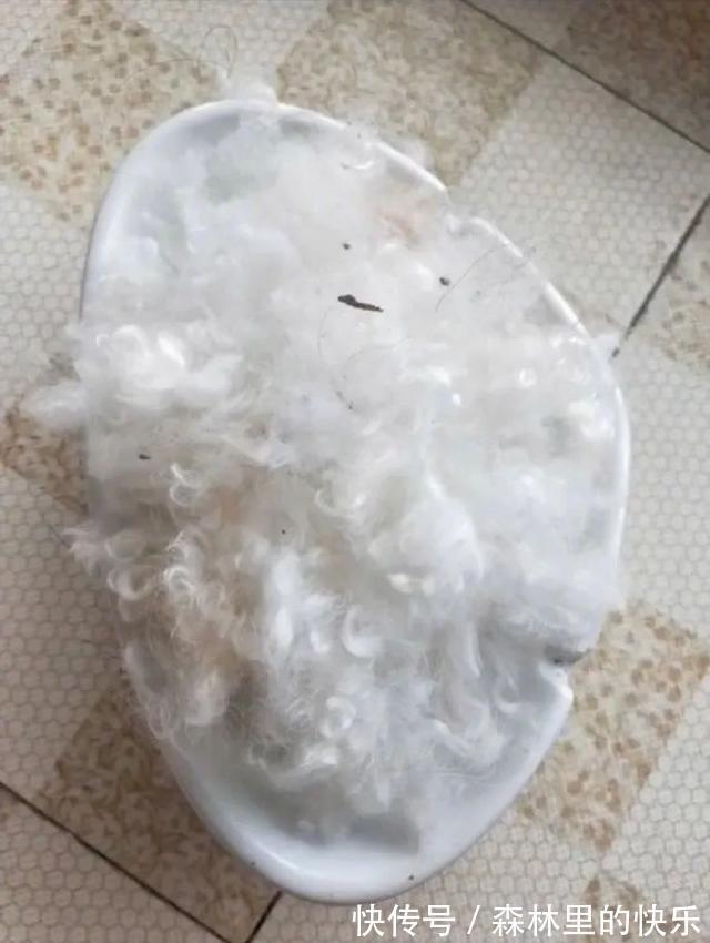 |男朋友:我太难了 冷段子1381 & 去年今日1071