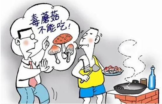 菇类|喝了这碗汤，男子输了2万毫升血浆…