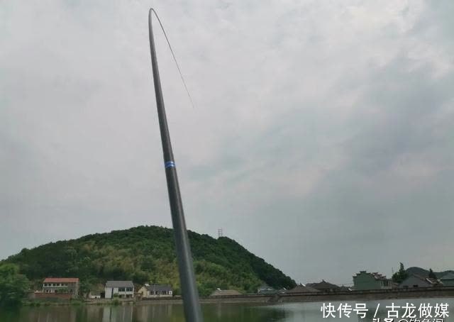 钓草鱼别怕累,这种钓法诱鱼速度最快,一来就是好几条