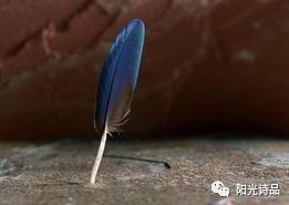 无奈|随心而飘,抛洒一路无奈