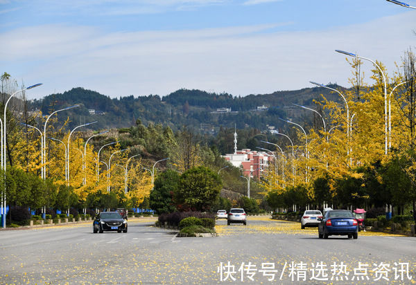 市民们|秋色迷人 红嘴鸥集队到贵州纳雍县白水河越冬