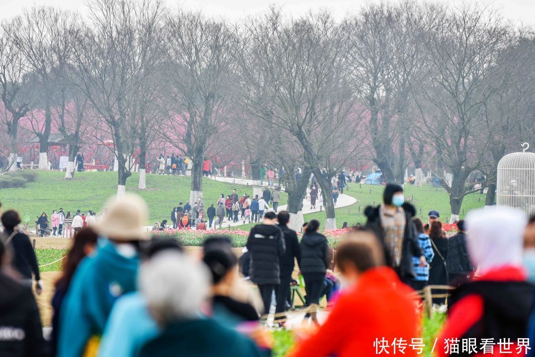 大年初一 成都秀丽东方依然花开成海，美如仙境！游人如织！