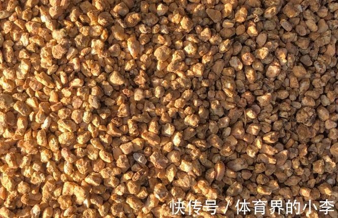 最实用的多肉配土,无需复杂简单就好,多肉配土详解