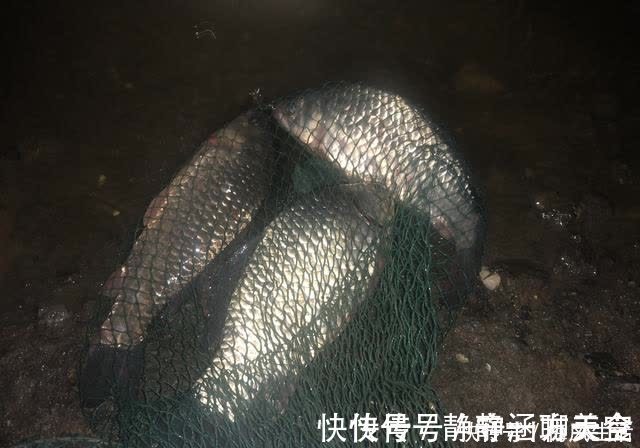 浪头|我一个酷爱夜钓的人,总能找到低温风浪环境下的夜钓鲫鱼法……