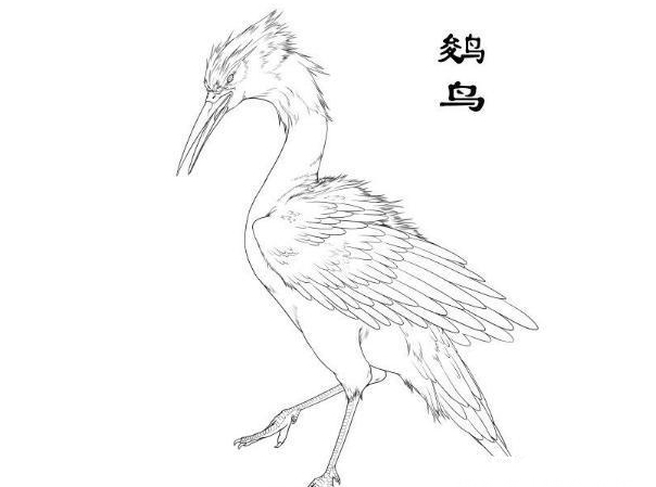 伍拾柒|看山海经，一天熟悉一种志怪，伍拾柒