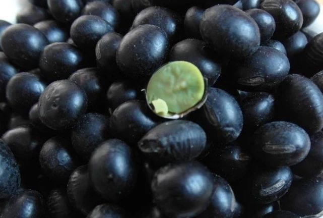 滋养|女人别总想着“省钱”，多吃4种“雌激素”食物，滋养卵巢抗衰老