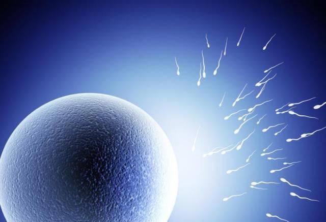 变化|怀孕1~40周，每周身体有何变化？送你一份“孕期清单表”！