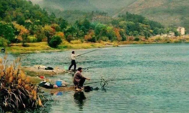 晚秋的5大黄金钓点，找到这些钓点，坐等鱼护装满！