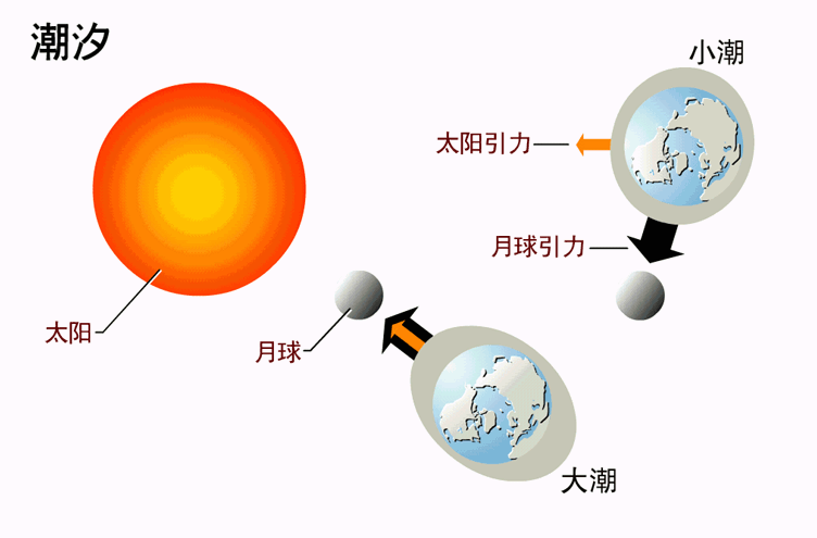 地中海|水城威尼斯“干了”？