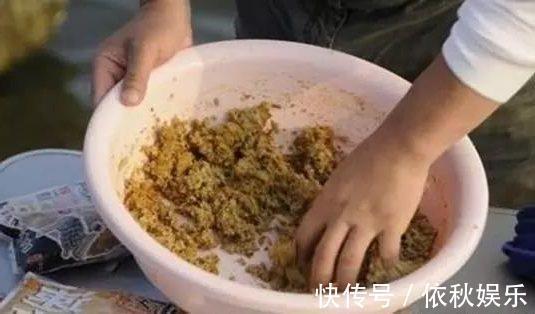 如何开出一款好的饵料,这些细节问题要掌握