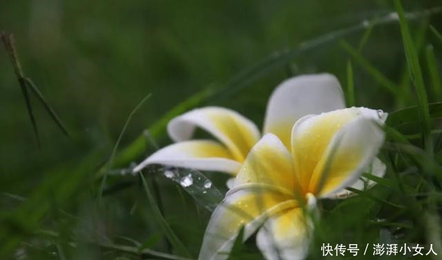 空山新雨后，一起到腾冲感受雨季的魅力