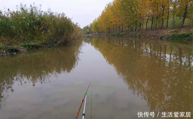 冬季|冬季钓鲫鱼,5宜5不宜!套路不正确,再好的饵料都没用