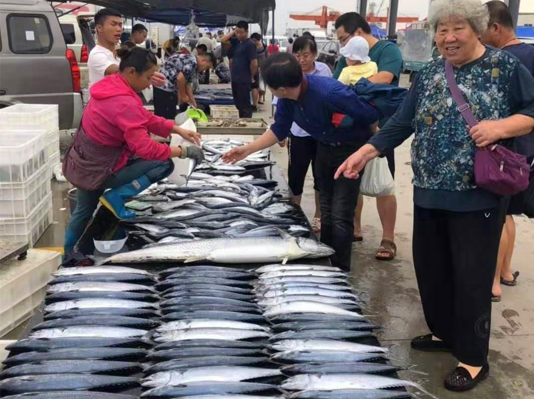 一样是“鲅”鱼,鲐鲅鱼和鲅鱼有啥区别?注意别买错,买错差别大