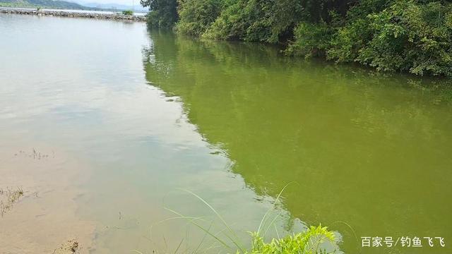 危险!这两个季节是钓鱼人的“克星”开钓需谨慎,血淋淋的教训