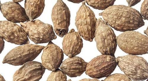 中年|中医3种中药助养肾，常泡水喝，排毒素，肾气足