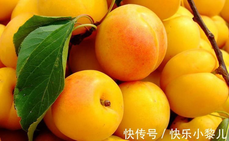 饮食|孕早期的饮食有“三禁”,老一辈却误认为是好的,孕妈别被蒙蔽了